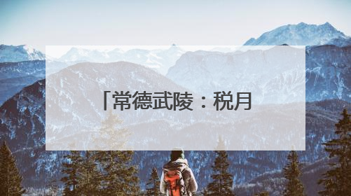 常德武陵：税月童行 共筑未来