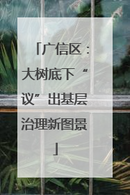 广信区：大树底下“议”出基层治理新图景