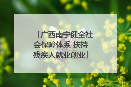 广西南宁健全社会保障体系 扶持残疾人就业创业