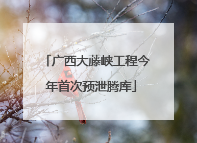 广西大藤峡工程今年首次预泄腾库