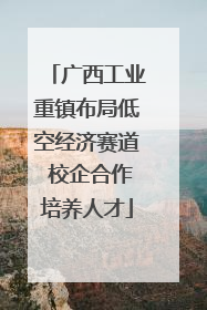 广西工业重镇布局低空经济赛道 校企合作培养人才