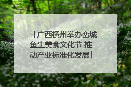 广西横州举办峦城鱼生美食文化节 推动产业标准化发展
