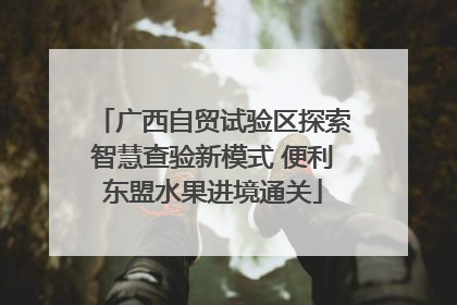 广西自贸试验区探索智慧查验新模式 便利东盟水果进境通关