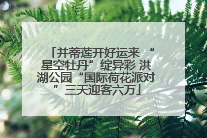 并蒂莲开好运来 “星空牡丹”绽异彩 洪湖公园“国际荷花派对”三天迎客六万