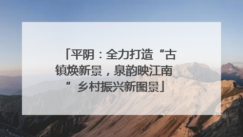 平阴：全力打造“古镇焕新景，泉韵映江南”乡村振兴新图景