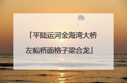 平陆运河金海湾大桥左幅桥面格子梁合龙