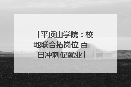 平顶山学院：校地联合拓岗位 百日冲刺促就业
