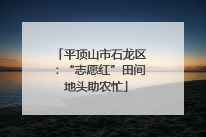 平顶山市石龙区：“志愿红”田间地头助农忙