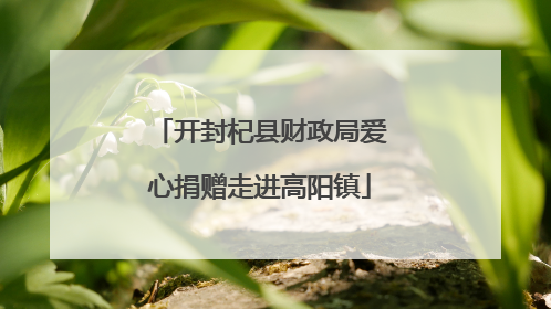 开封杞县财政局爱心捐赠走进高阳镇