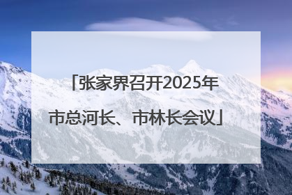 张家界召开2025年市总河长、市林长会议