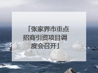 张家界市重点招商引资项目调度会召开