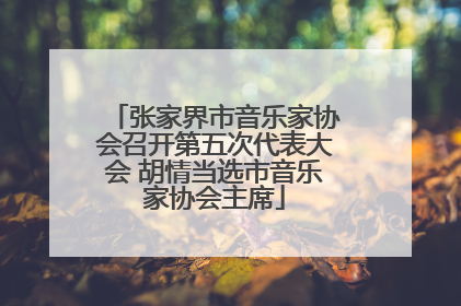 张家界市音乐家协会召开第五次代表大会 胡情当选市音乐家协会主席
