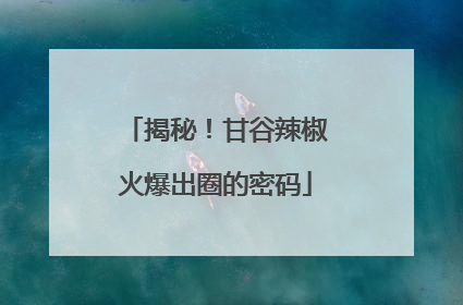 揭秘！甘谷辣椒火爆出圈的密码