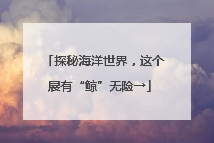 探秘海洋世界，这个展有“鲸”无险→