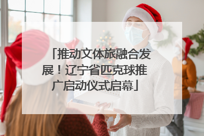推动文体旅融合发展！辽宁省匹克球推广启动仪式启幕