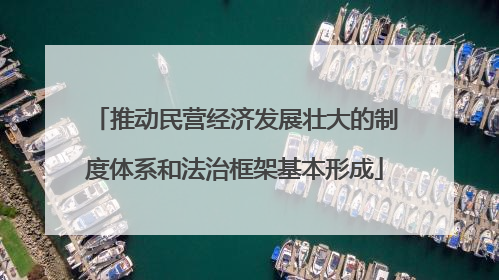 推动民营经济发展壮大的制度体系和法治框架基本形成