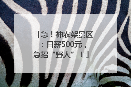 急！神农架景区：日薪500元，急招“野人”！