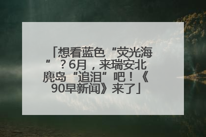 想看蓝色“荧光海”？6月，来瑞安北麂岛“追泪”吧！《90早新闻》来了