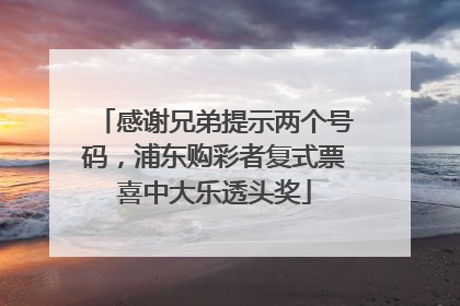 感谢兄弟提示两个号码，浦东购彩者复式票喜中大乐透头奖