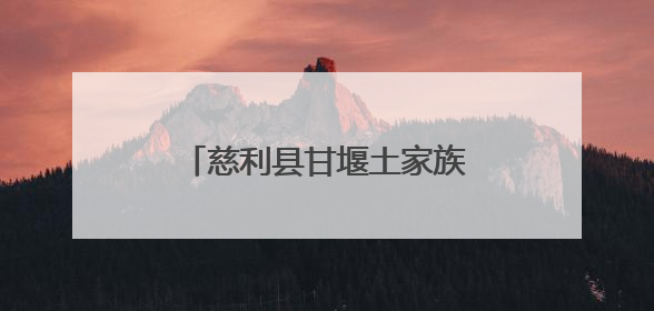 慈利县甘堰土家族乡：“汛”速响应！奋战抢险救灾一线