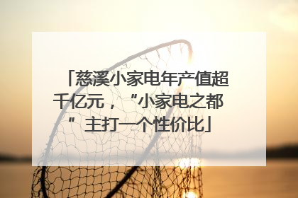 慈溪小家电年产值超千亿元，“小家电之都”主打一个性价比