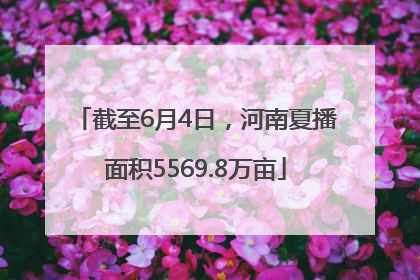 截至6月4日，河南夏播面积5569.8万亩