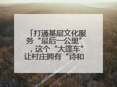 打通基层文化服务“最后一公里”，这个“大篷车”让村庄拥有“诗和远方”