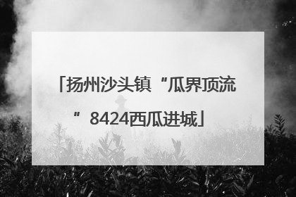 扬州沙头镇“瓜界顶流”8424西瓜进城