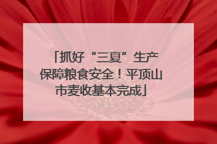 抓好“三夏”生产 保障粮食安全！平顶山市麦收基本完成