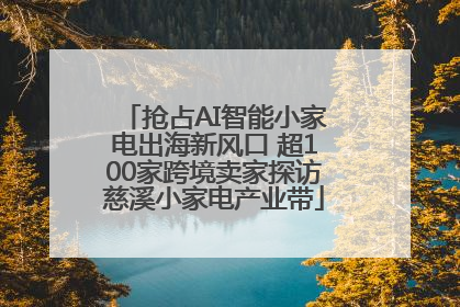 抢占AI智能小家电出海新风口 超100家跨境卖家探访慈溪小家电产业带
