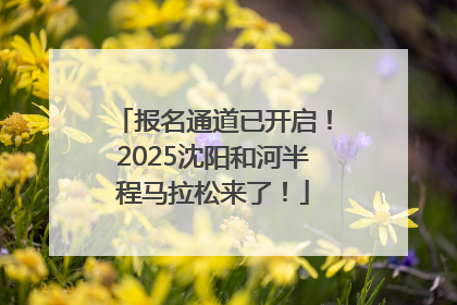 报名通道已开启！2025沈阳和河半程马拉松来了！