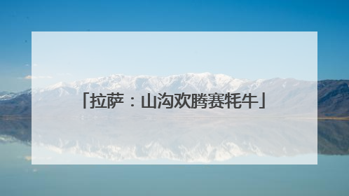 拉萨：山沟欢腾赛牦牛