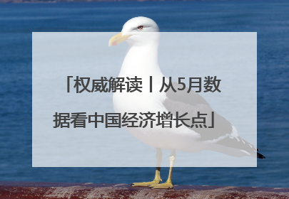 权威解读丨从5月数据看中国经济增长点