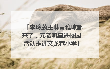 李玲蔚王琳黄雅琼都来了，元老明星进校园活动走进文龙巷小学