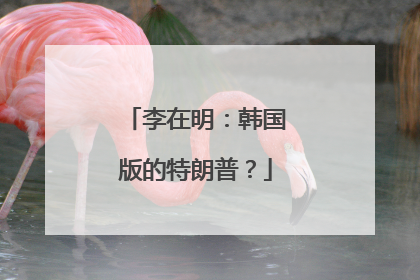 李在明：韩国版的特朗普？