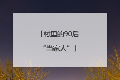 村里的90后“当家人”