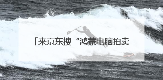 来京东搜“鸿蒙电脑拍卖” 有机会1元拍到HUAWEI MateBook Fold 非凡大师