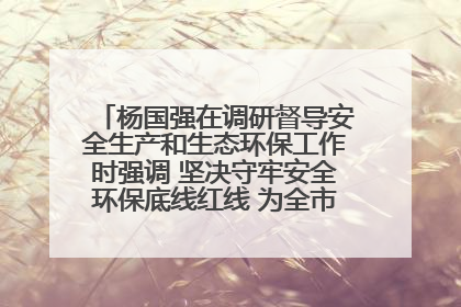 杨国强在调研督导安全生产和生态环保工作时强调 坚决守牢安全环保底线红线 为全市经济社会高质量发展提供坚强保障