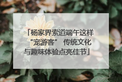 杨家界索道端午这样“宠游客” 传统文化与趣味体验点亮佳节