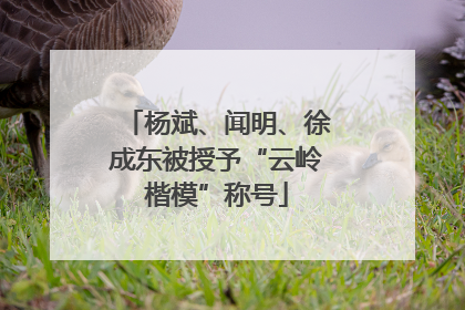 杨斌、闻明、徐成东被授予“云岭楷模”称号