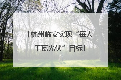 杭州临安实现“每人一千瓦光伏”目标