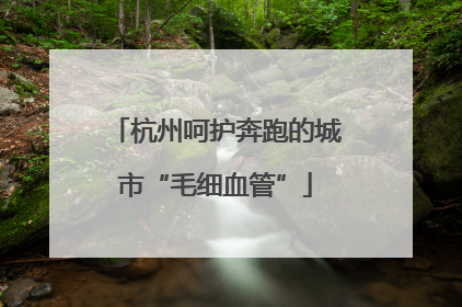 杭州呵护奔跑的城市“毛细血管”