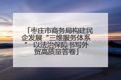 枣庄市商务局构建民企发展“三维服务体系” 以法治保障书写外贸高质量答卷