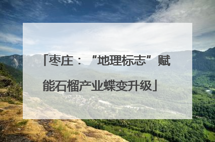 枣庄：“地理标志”赋能石榴产业蝶变升级