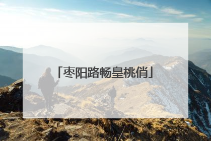 枣阳路畅皇桃俏