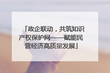 政企联动，共筑知识产权保护网——赋能民营经济高质量发展