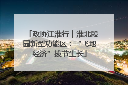 政协江淮行｜淮北段园新型功能区：“飞地经济”拔节生长