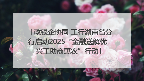 政银企协同 工行湖南省分行启动2025“金融送解优 兴工助商惠农”行动