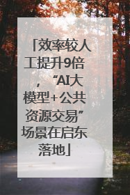 效率较人工提升9倍,“AI大模型+公共资源交易”场景在启东落地