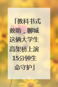 教科书式救助，聊城这俩大学生高架桥上演15分钟生命守护